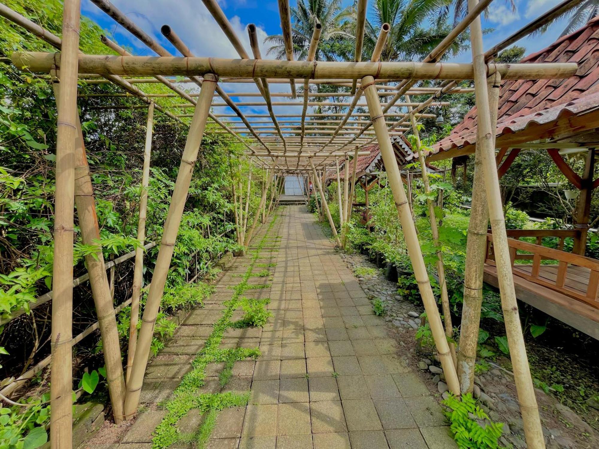 Pondok Isoke Bunggalow Banyuwangi  Exterior foto